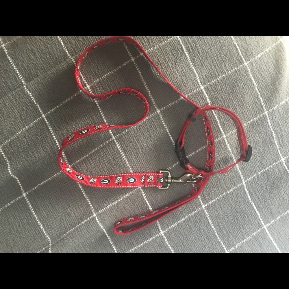 UGA Collar and Leash